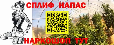 бошки Будённовск