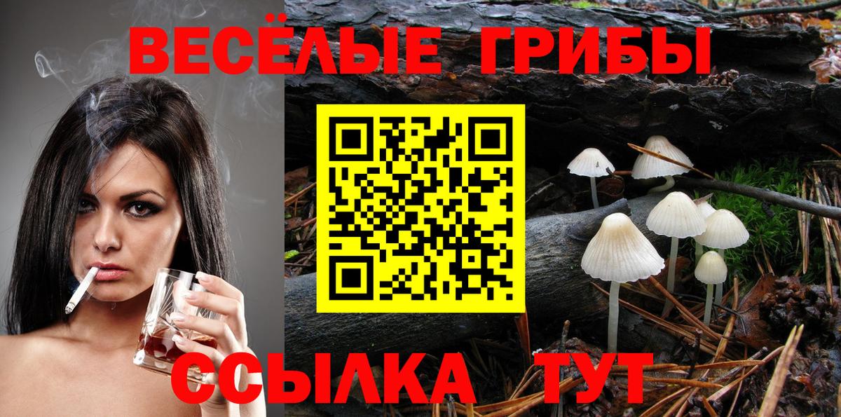 Галлюциногенные грибы мухоморы  Вход с VPN  Курганинск 