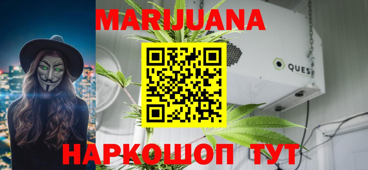 Конопля конопля Курганинск